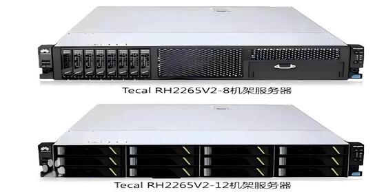 02310RHT Huawei Storage Server